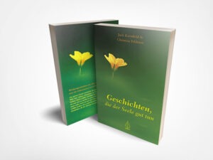 Christina Feldmann; Jack Kornfield: Geschichten, die der Seele gut tun